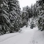 Im stetigen Tempo talwärts