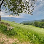 Auf dem Weg zum Tomanegger verlocken Bänke zur Zwischenrast
