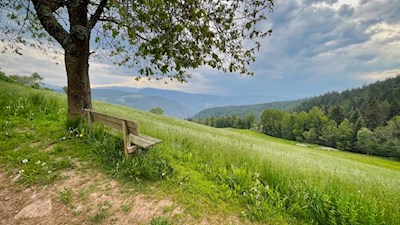 Auf dem Weg zum Tomanegger verlocken Bänke zur Zwischenrast
