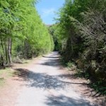 Im sanften Anstieg zur Prantneralm