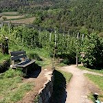 Auf dem Algunder Waalweg laden Bänke zur willkommenen Rast