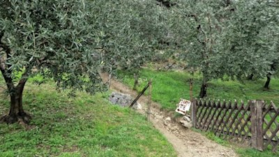 Durch Olivenhaine zu den Marmitte dei Giganti 