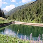 Am lupinenumrankten Staubecken