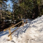 Durch den verschneiten Nadelwald zur Kirche St. Jakob