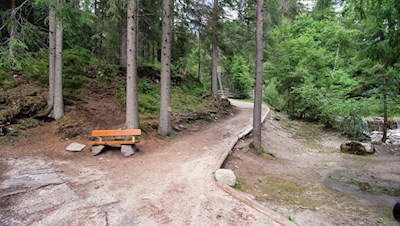Sanft führt der Waldweg durch das Annatal
