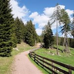 Von der Wurzer Alm führt der anfangs breite Weg Nr. 2 zur Vöraner Alm
