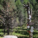 Auf dem Weg zu den Reinswalder Mühlen erfährt man Wissenswertes über unseren Wald