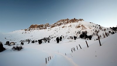 Nur-mehr-wenige-Schritte-bis-zur-Gampenalm