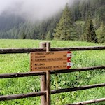 Hinter der Wollbachalm zweigt der Weg Nr. 5 in Richtung Kellerkopf ab
