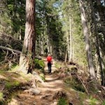 Im angenehmen Anstieg in Richtung Kronplatz