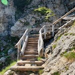 Mitten auf dem Touristensteig