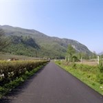 The bike path leads partly flat in the direction of Torbole