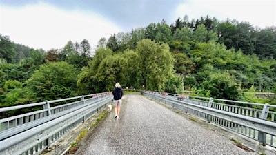 Wandern mit Hund von Kiens nach Ehrenburg