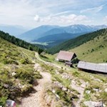 Der-Almhüttenrundweg-schlängelt-sich-von-Almhütte-zu-Almhütte
