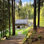 Inmitten einer Waldlichtung liegt die Schafstallhütte