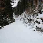 Durch den winterlich verschneiten Nadelwald in Richtung Wurzeralm