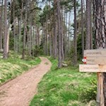 Die Wanderung zum Tomanegger ist gut ausgeschildert