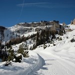 Unser Blick fällt auf das sagenumwobene Parlament der Murmeltiere