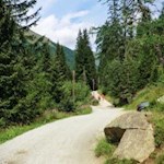 Zunächst wandert man durch den Wald