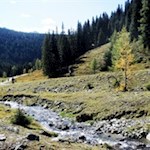 Die MTB-Tour verläuft neben dem Silvesterbach