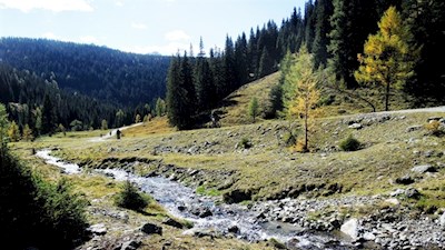 Die MTB-Tour verläuft neben dem Silvesterbach