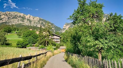Von Ums führt der Umser Rundweg in Richtung Völser Weiher