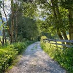 Der Ratschinger Talweg ist auch für den Kinderwagen geeignet