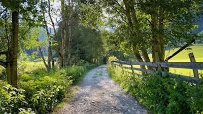 Der Ratschinger Talweg ist auch für den Kinderwagen geeignet