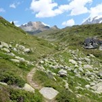 Der Weg zum Pfitscher-Joch-Haus führt durch steinbeschlagene Wiesen