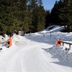 Durch den stillen Wald zur Huber Alm