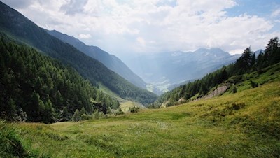 Auf dem Weg zur Alprechtalm öffnen sich verträumte Ausblicke
