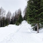 Durch den tiefverschneiten Wald zur Stegeralm