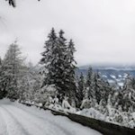 Lustige Schlittenfahrt auf der Spilucker Rodelbahn