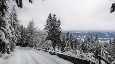 Lustige Schlittenfahrt auf der Spilucker Rodelbahn