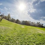 Der Pyramidenrundweg Steinegg führt durch malerische Wiesen