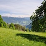 Die Wanderung auf das Spilucker Köpfl führt durch aussichtsreiche Wiesen