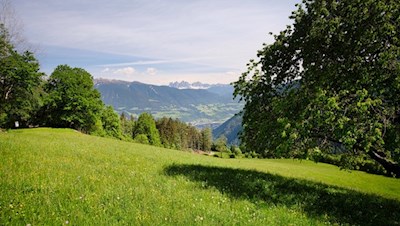 Die Wanderung auf das Spilucker Köpfl führt durch aussichtsreiche Wiesen