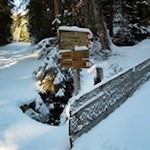 Die Wanderung zur Freundalm ist gut ausgeschildert