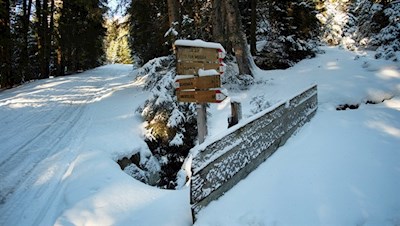 Die Wanderung zur Freundalm ist gut ausgeschildert