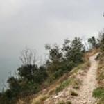 Il-tipico-percorso-del-Sentiero-del-Sole-sui-pendii-del-Lago-di-Garda