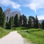 Vor der Kulisse des Peitlerkofel zur Munt de Fornella