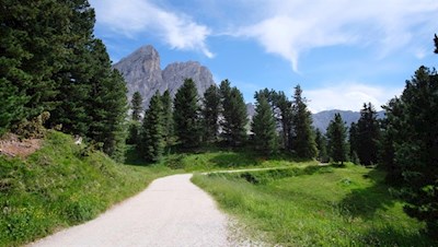 Vor der Kulisse des Peitlerkofel zur Munt de Fornella