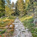 Herbstwanderung auf der Plose