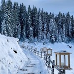 Im Advent wird der Rundweg Karersee von weihnachtlichen Lichtern umrahmt