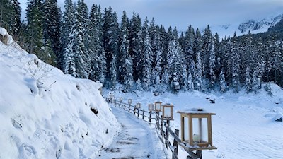 Im Advent wird der Rundweg Karersee von weihnachtlichen Lichtern umrahmt
