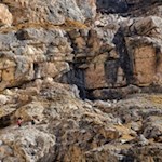 Auf dem schmalen Pfad Nr. 7