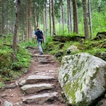 Durch den Wald zur Bizathütte