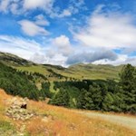 Malerische Landschaft mit der Kühbergalm im Hintergrund