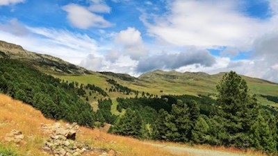 Malerische Landschaft mit der Kühbergalm im Hintergrund