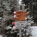 Der Weg zur Bacherhütte ist nicht zu verfehlen